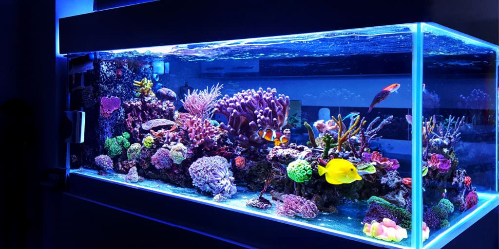 Aquarium